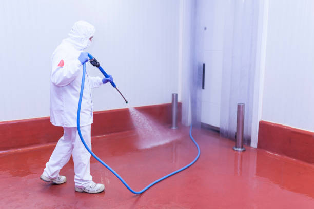 Best Spring Cleaning  in Kure Beach, NC
